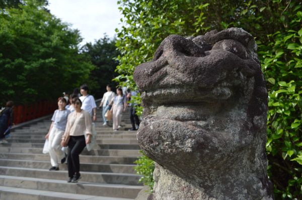 鎌倉ハイキングの写真