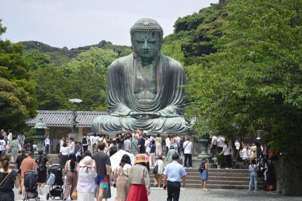 鎌倉ハイキングの写真