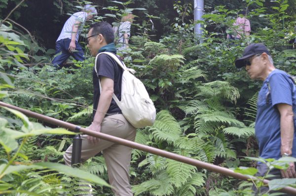 鎌倉ハイキングの写真